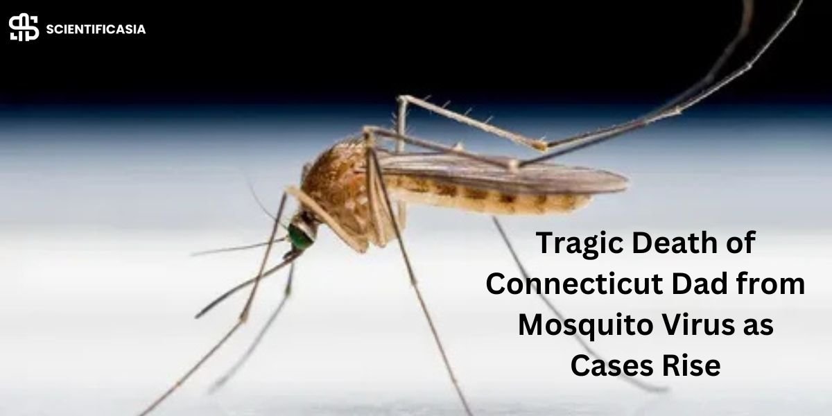 Tragic Death of Connecticut Dad from Mosquito Virus as Cases Rise