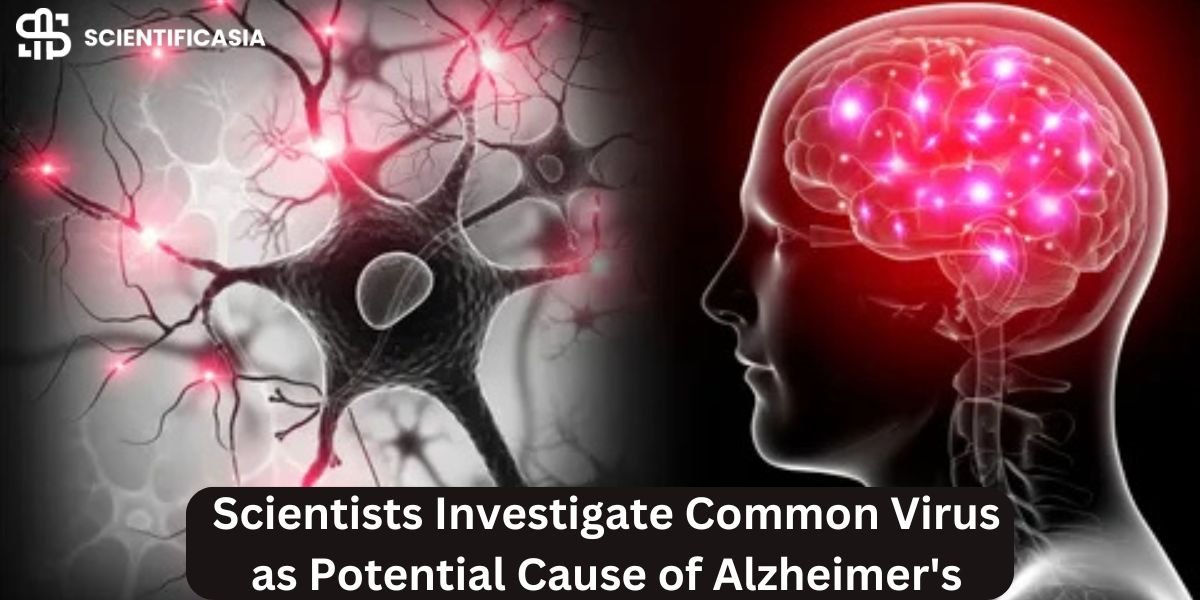 Scientists Investigate Common Virus as Potential Cause of Alzheimer’s