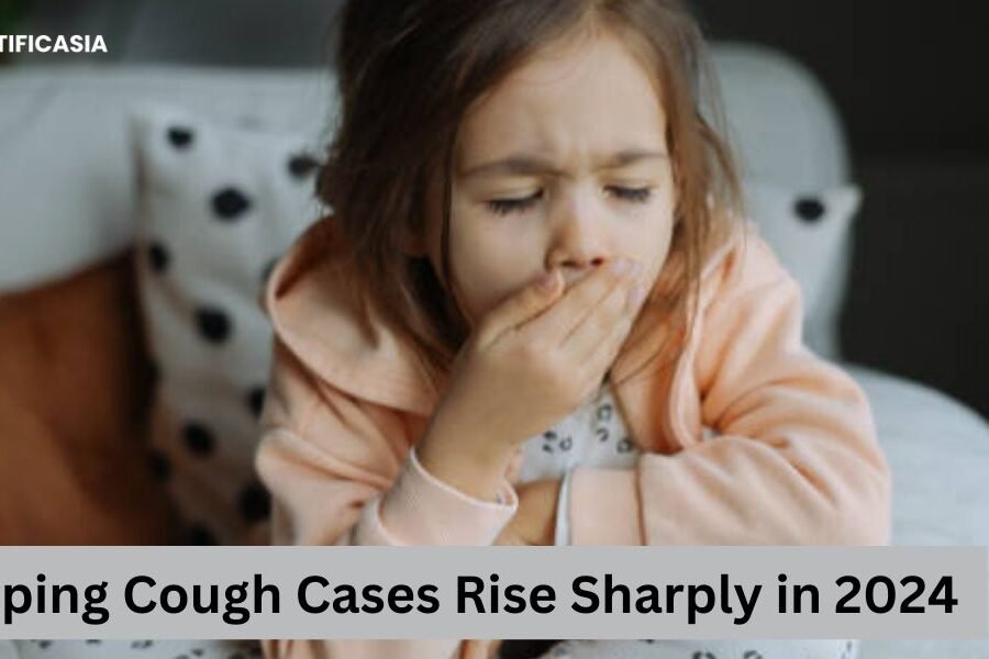 Whooping Cough Cases Rise Sharply in 2024