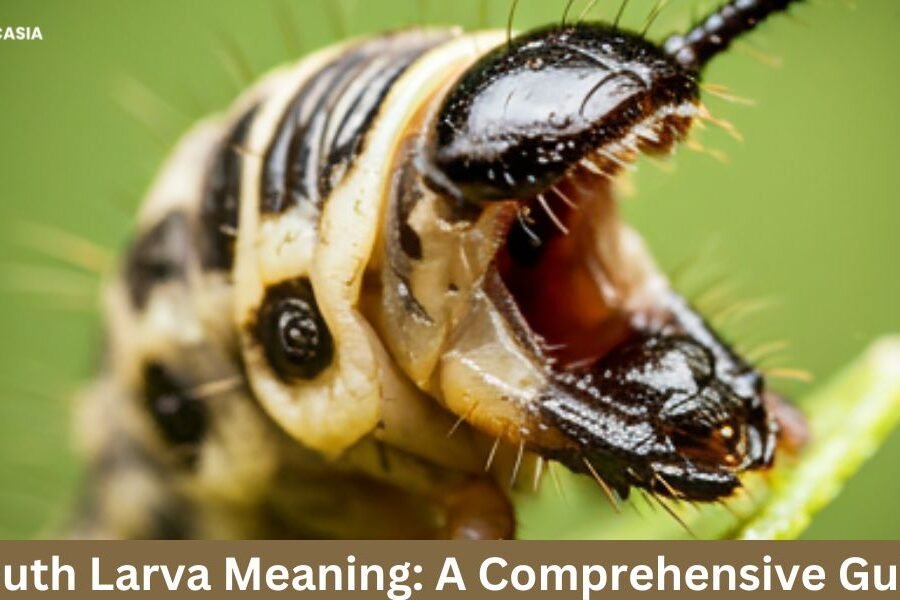 Mouth Larva Meaning: A Comprehensive Guide