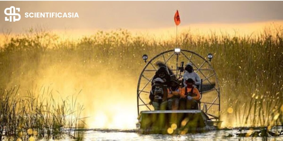 Is the Everglades Airboat Worth It?