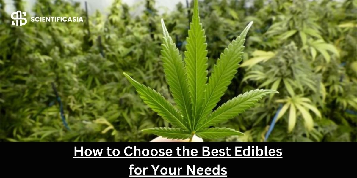 How to Choose the Best Edibles for Your Needs: Factors to Consider