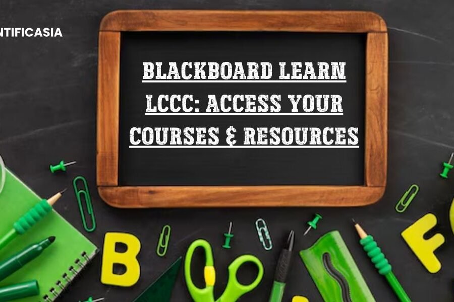 Blackboard Learn LCCC: Access Your Courses & Resources