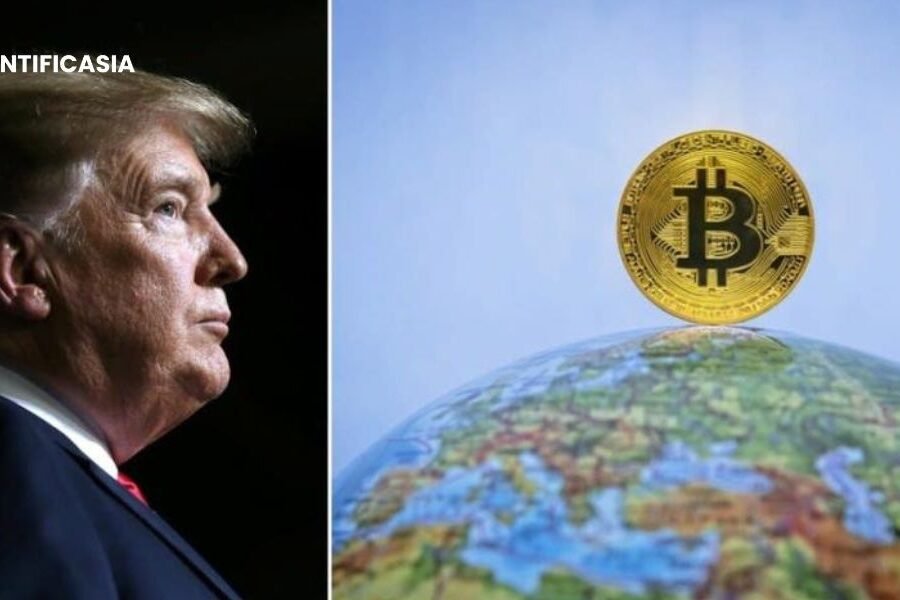 Trump Coin Crypto Where to Buy – Best Exchanges & Guide