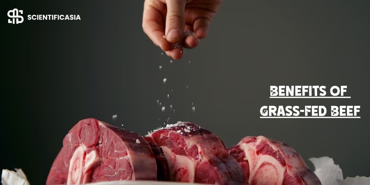 The Benefits of Grass-Fed Beef