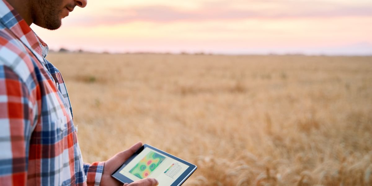 Satellite Imagery Interpretation In Agriculture