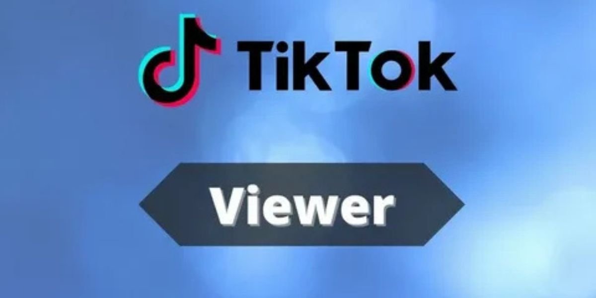 Access Private TikTok Content with Our Viewer