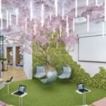Essential Resources for Creating an Inviting Lobby Space