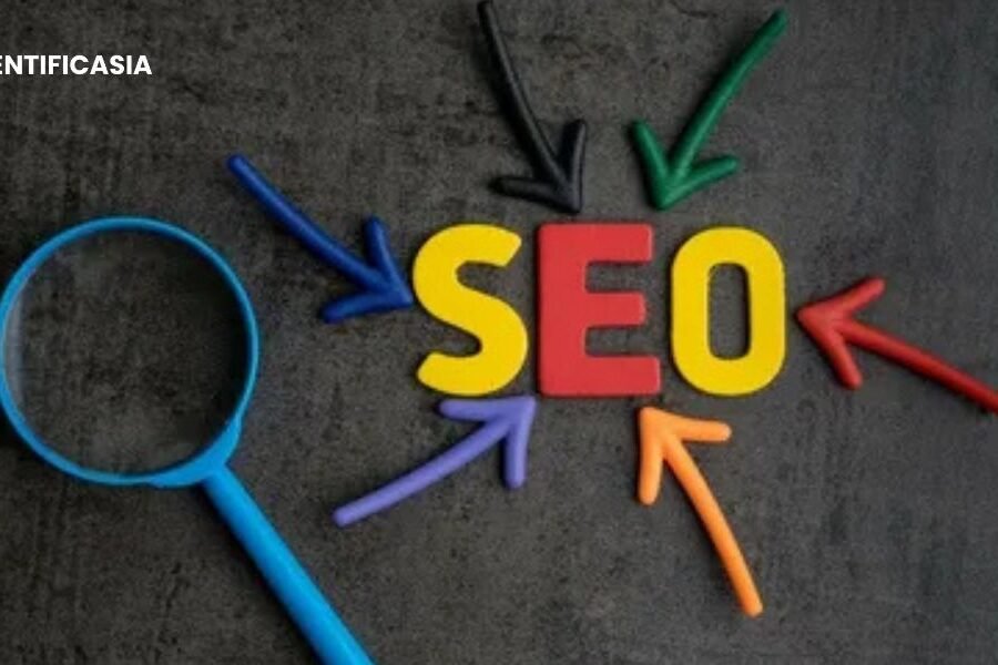 I Run a SEO Company from Sydney — Here’s What Businesses Need to Know in 2025