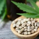 How to Grow Interesting Plants in Your Garden