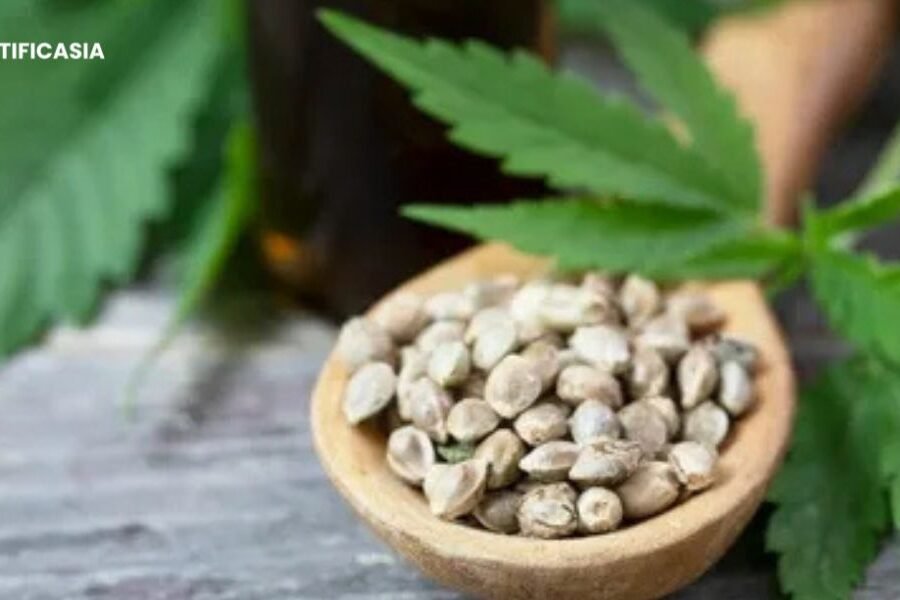 How to Grow Interesting Plants in Your Garden