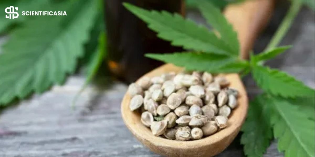 How to Grow Interesting Plants in Your Garden