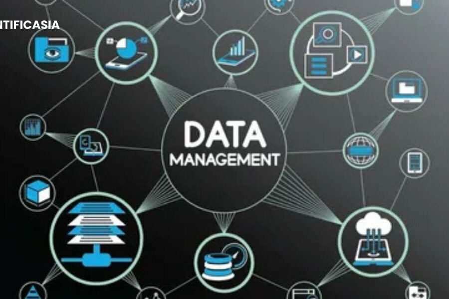 From Notes to Numbers: Making Sense of Data the Right Way