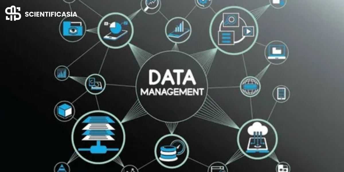 From Notes to Numbers: Making Sense of Data the Right Way