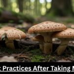 Safety Best Practices After Taking Mushrooms