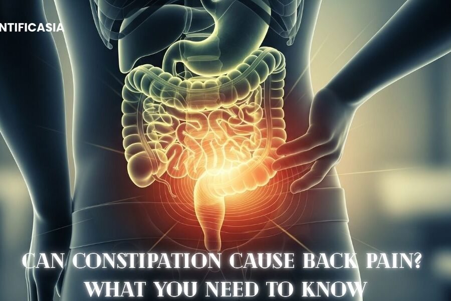 Can Constipation Cause Back Pain? What You Need to Know