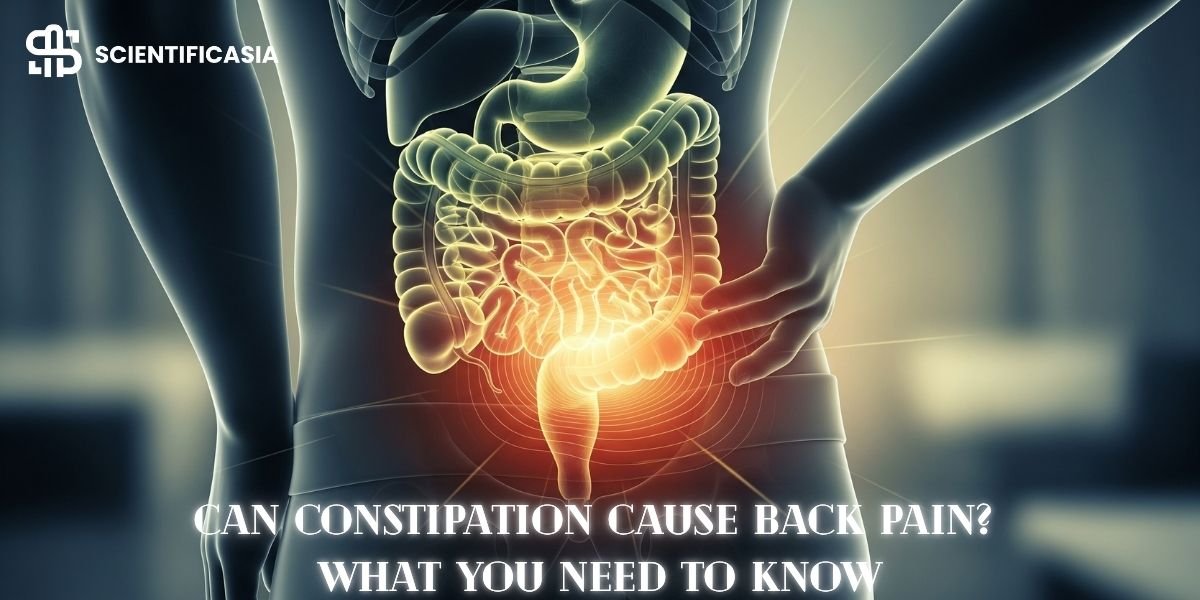 Can Constipation Cause Back Pain? What You Need to Know