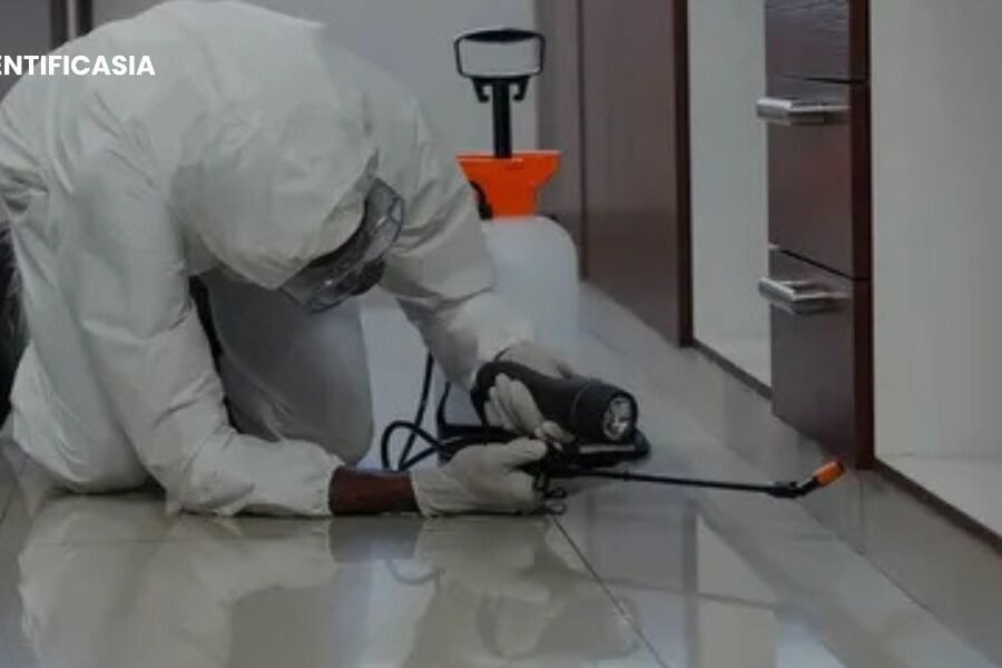 How Pest Inspections Protect Orlando Homes Year-Round