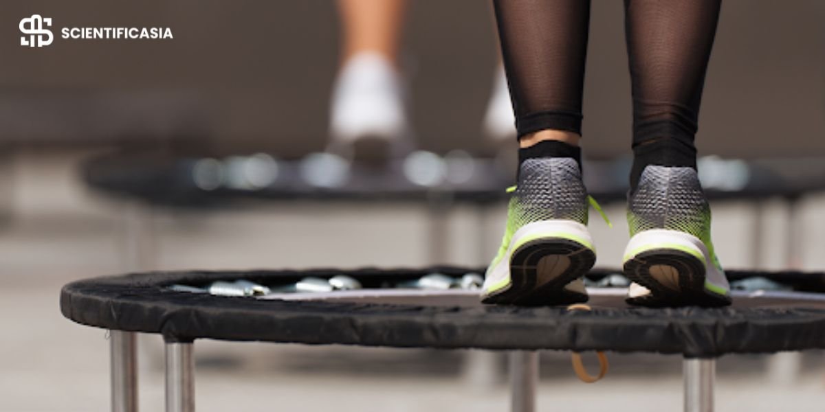 9 Joint-Friendly Fitness Tools Perfect for Small Spaces