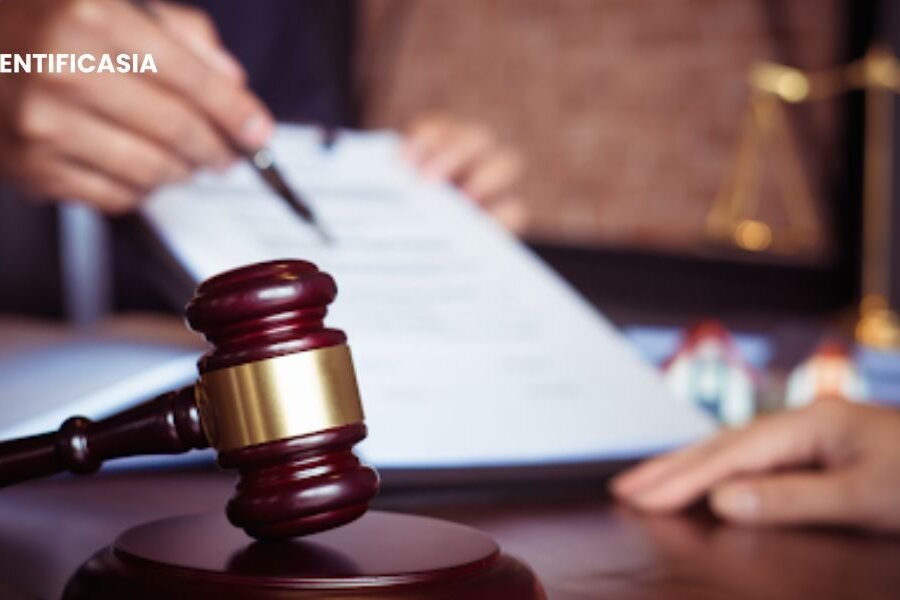 Legal Steps to Take After Being Sued in California