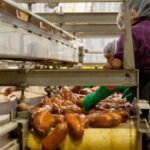 Why Belt Conveyors Remain Essential For Bulk Material Handling