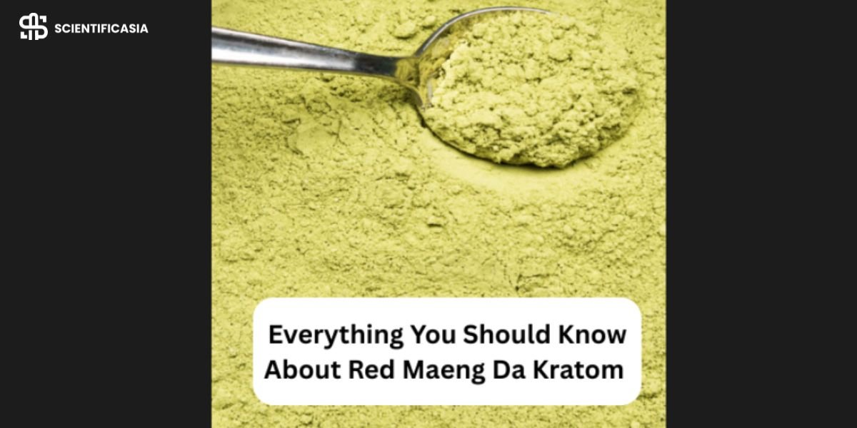 Everything You Should Know About Red Maeng Da Kratom