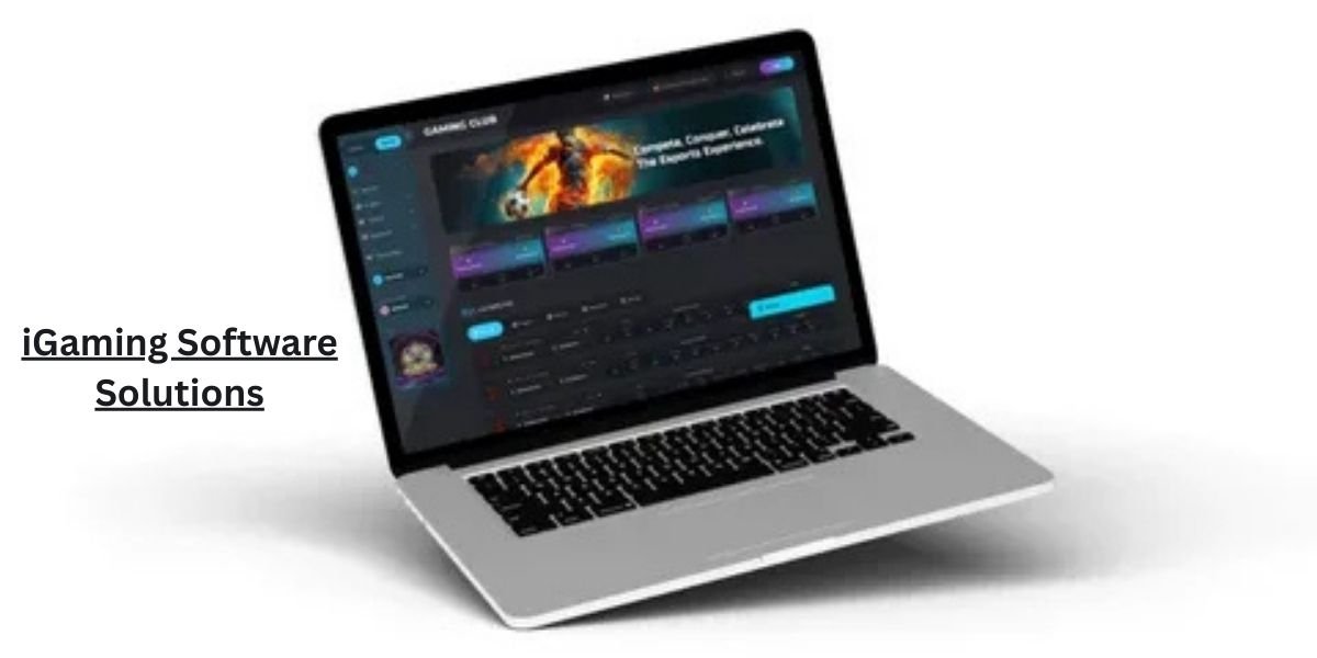 Top iGaming Software Solutions to Elevate Your Gaming Platform