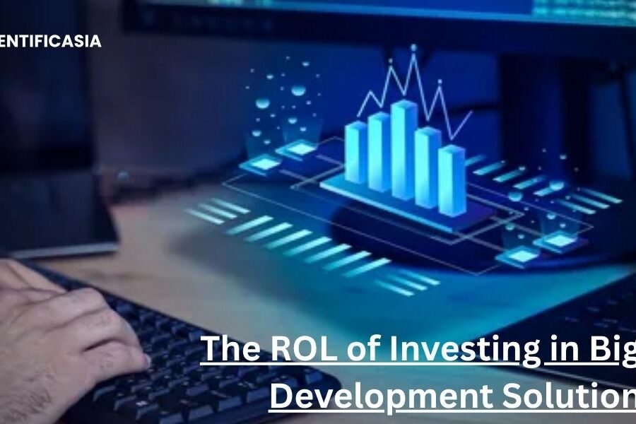 The ROL of Investing in Big Data Development Solutions