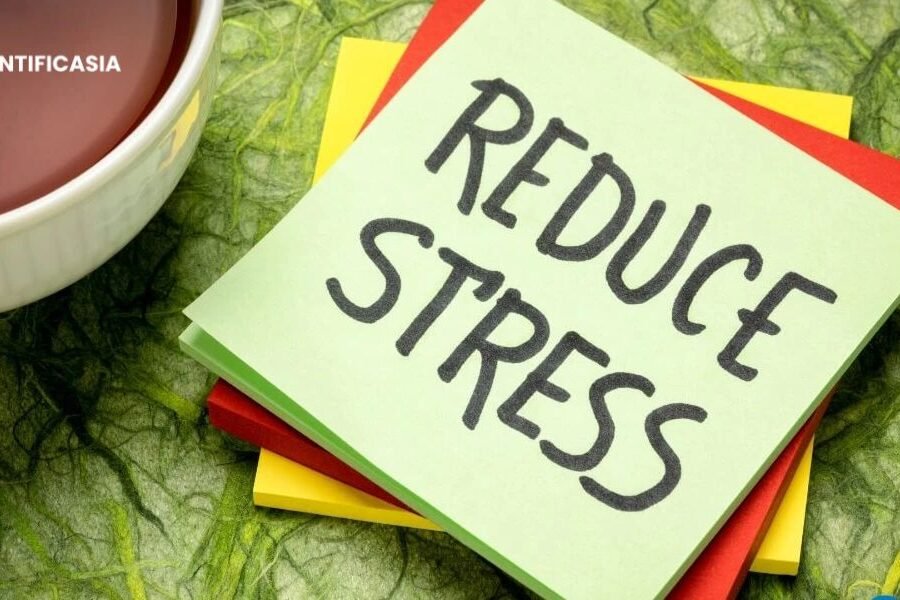 5 Practical Ways to Reduce Stress During Online Semesters