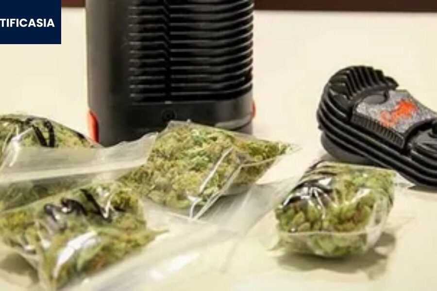 Mindful Consumption: How to Use Cannabis Responsibly