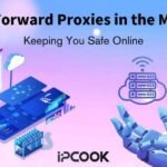 Best Forward Proxies in the Market: Keeping You Safe Online
