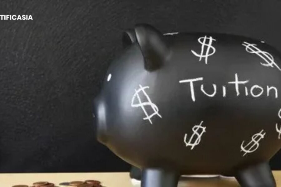 ‘Aha!’: How an Effective Tutor Can Transform Your Learning Trajectory