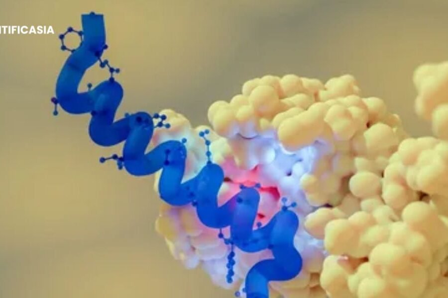 Semaglutide vs Other GLP-1 Peptides: What Biohackers Are Comparing?