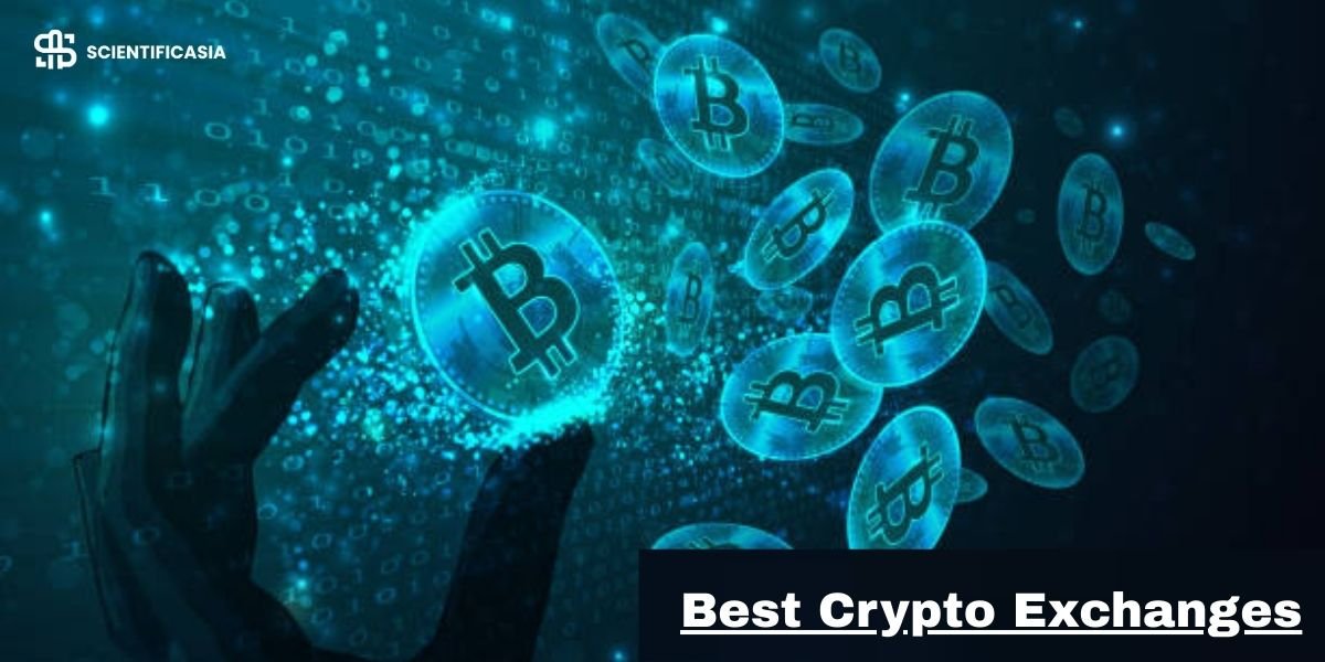 Best Crypto Exchanges Compared: Find the Right Platform for You