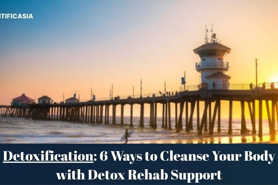 Detoxification: 6 Ways to Cleanse Your Body with Detox Rehab Support
