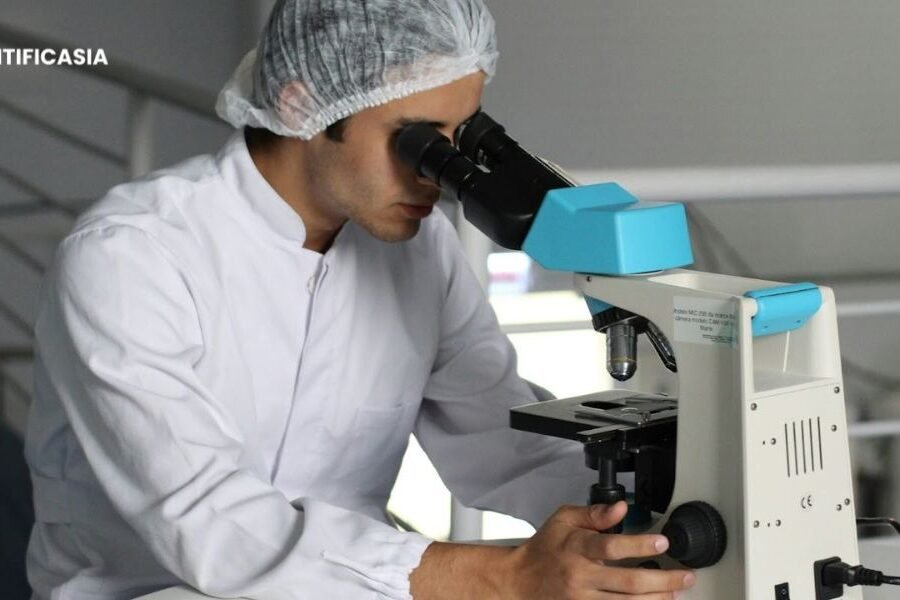 How Medical Education Shapes Healthcare Innovation