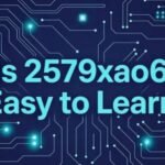 Is 2579xao6 Easy to Learn? A Beginner-Focused Complete Guide