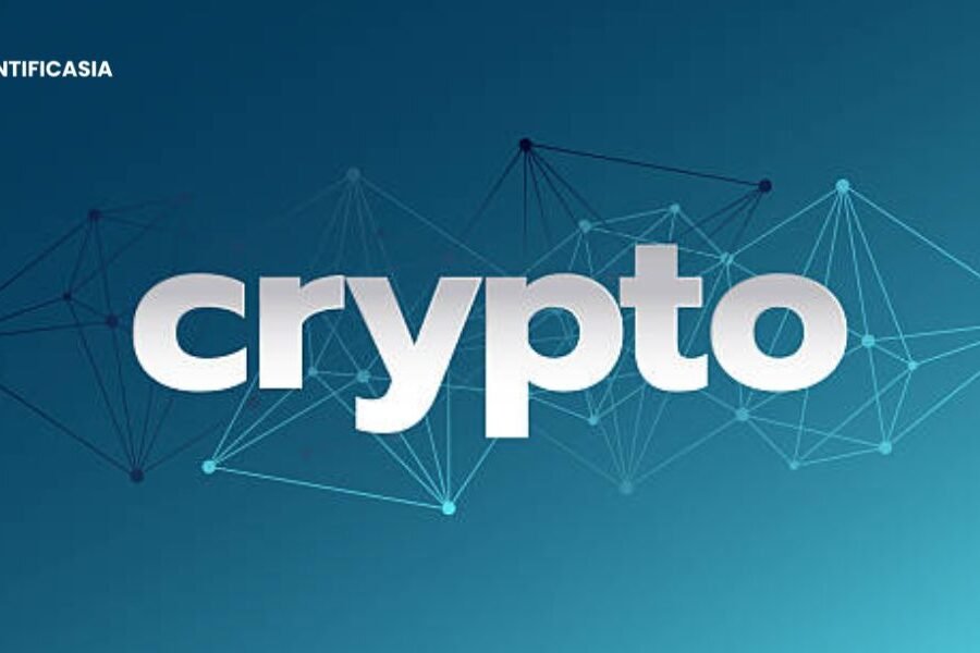 Can You Trust News FeedCryptoBuzz? A Research‑Based Explanation