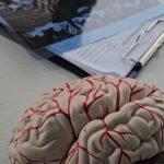 How to Choose the Right Traumatic Brain Injury Lawyer