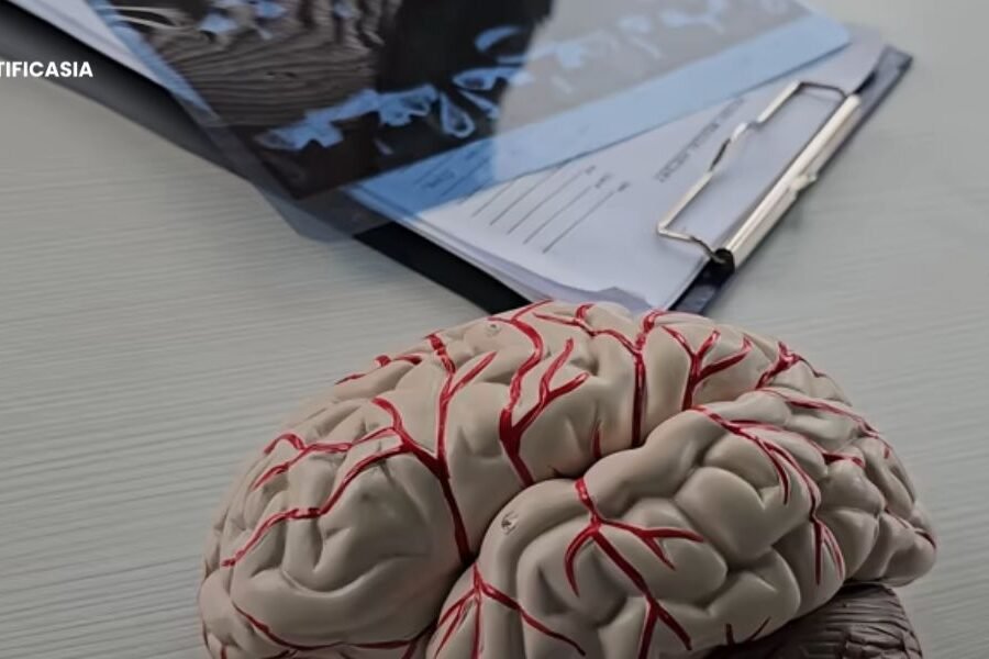 How to Choose the Right Traumatic Brain Injury Lawyer