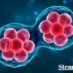 Stem Cells Dubai: Advanced Treatments for Healing and Regeneration