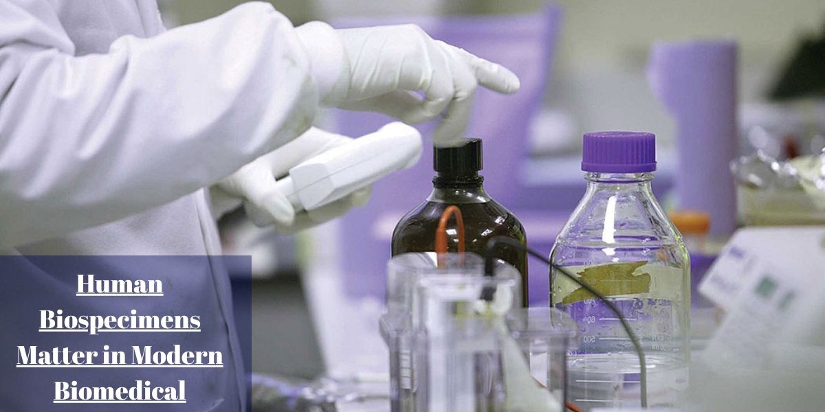 Why High-Quality Human Biospecimens Matter in Modern Biomedical Research