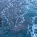 Introduction to Oceanography: History and the Role of an Oceanographer Explained