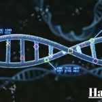Understanding Haplotypes: The Genetic Code That Defines Precision Medicine and Ecosystem Diversity