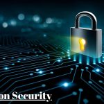 What Is Information Security and Why Does It Matter to Every Organization?